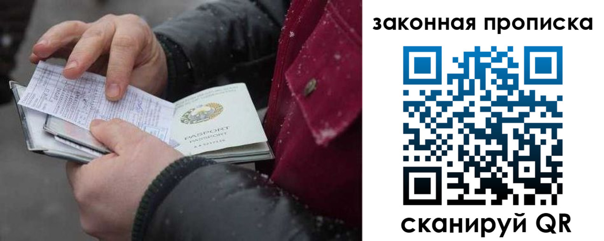 прописка поиск в Жукове